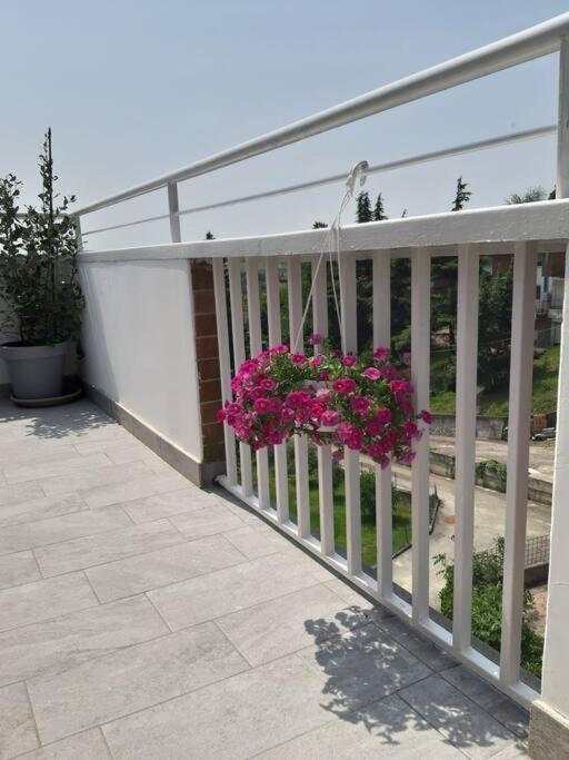 Casa Tra I Castelli Apartment San Martino Alfieri Bagian luar foto